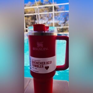 Stanley Target Red Valentines Day 40 oz FlowState Quencher Tumbler
